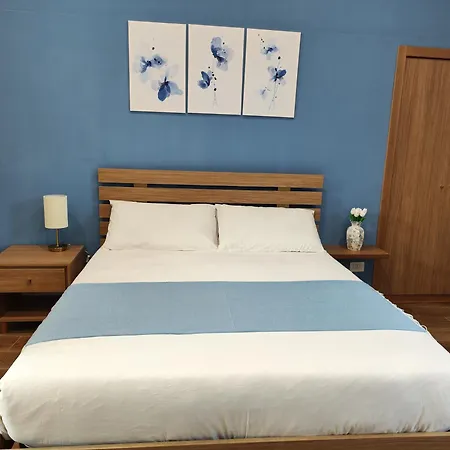 Maioliche e Porcellane-3